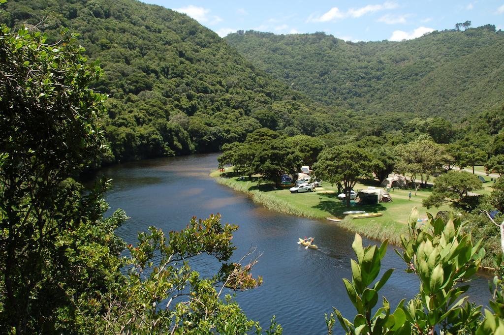 Fairy Knowe Backpackers Lodge Wilderness Exterior photo
