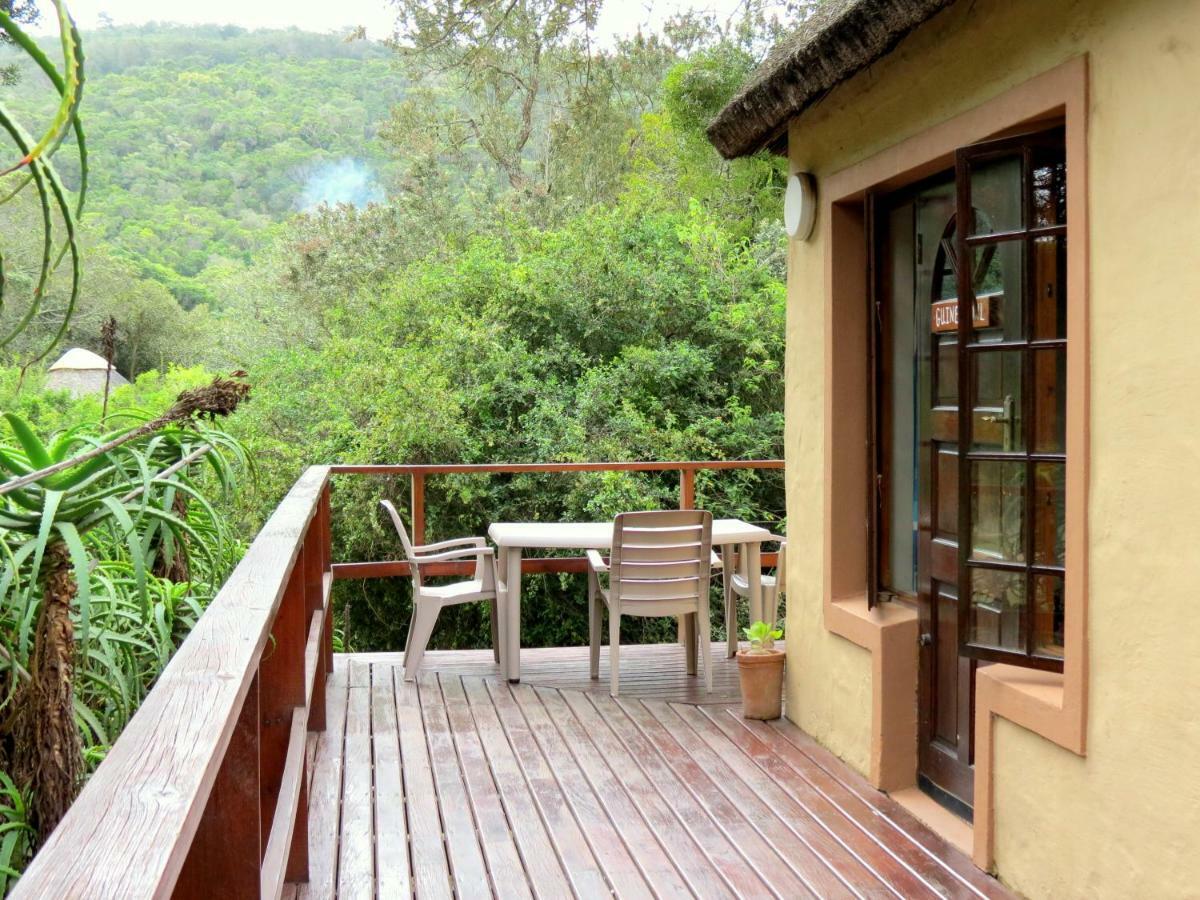 Fairy Knowe Backpackers Lodge Wilderness Exterior photo